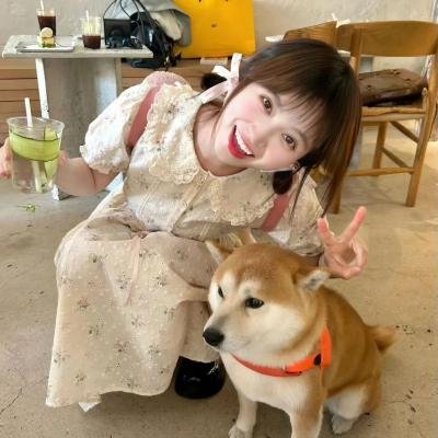 我们曾是炸弹客