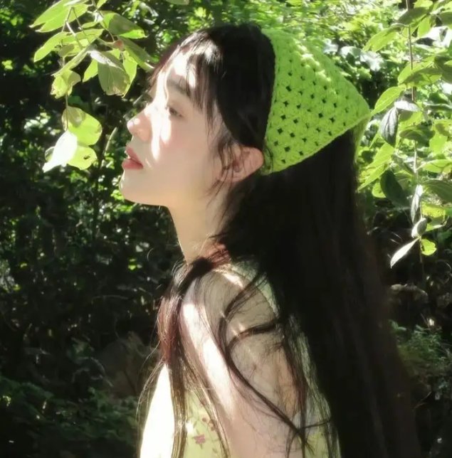 红蝎子之带泪梨花