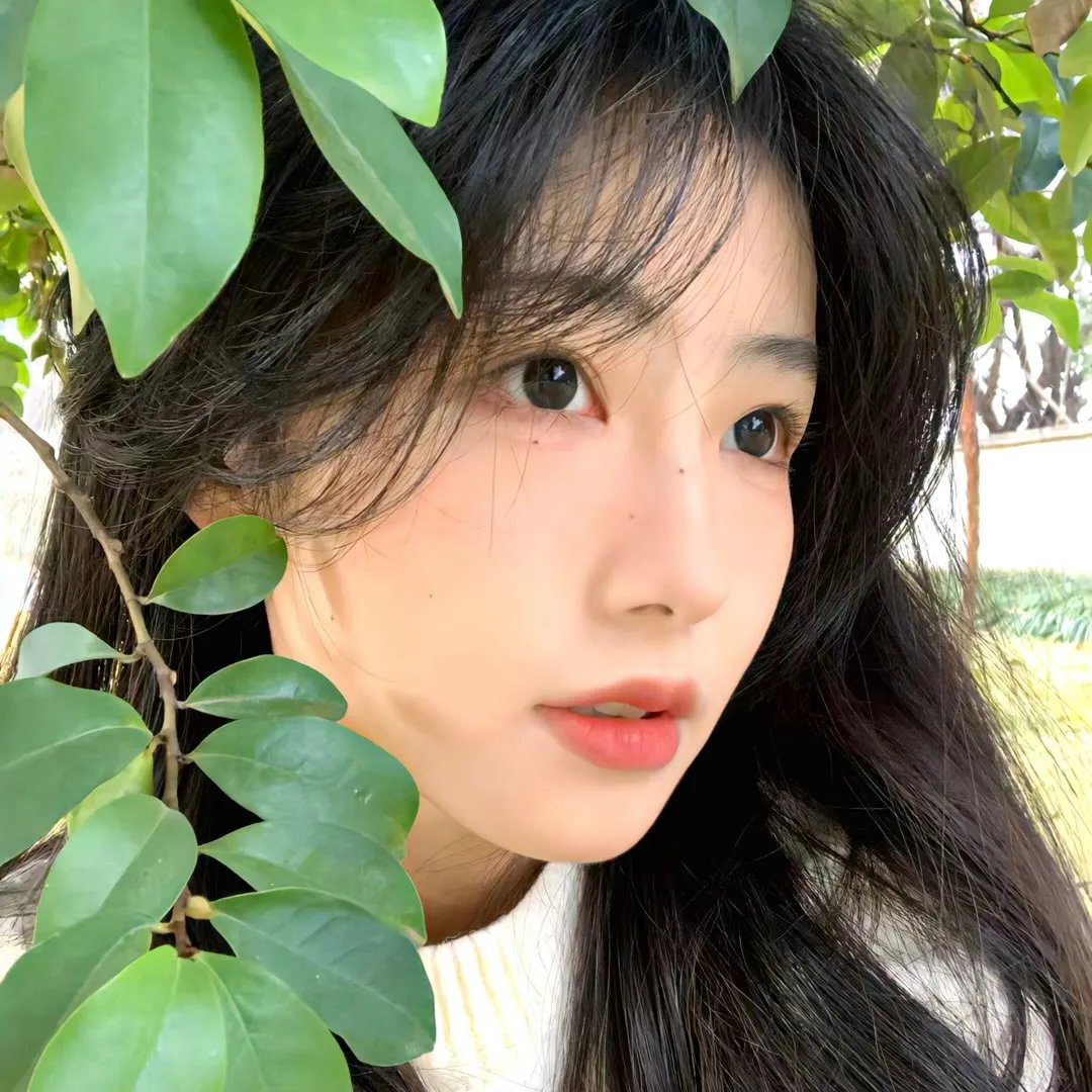 屈从